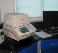 ӫⶨPCR