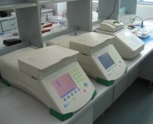 PCR